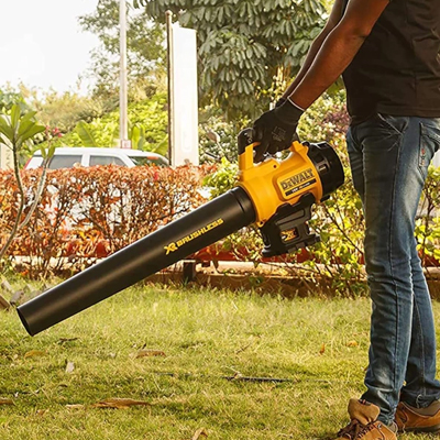 Dewalt Leaf Blowers