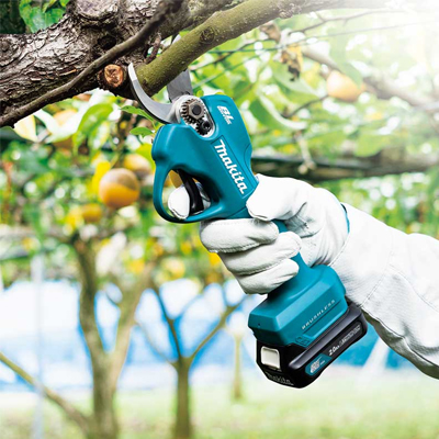 Pruning Shear